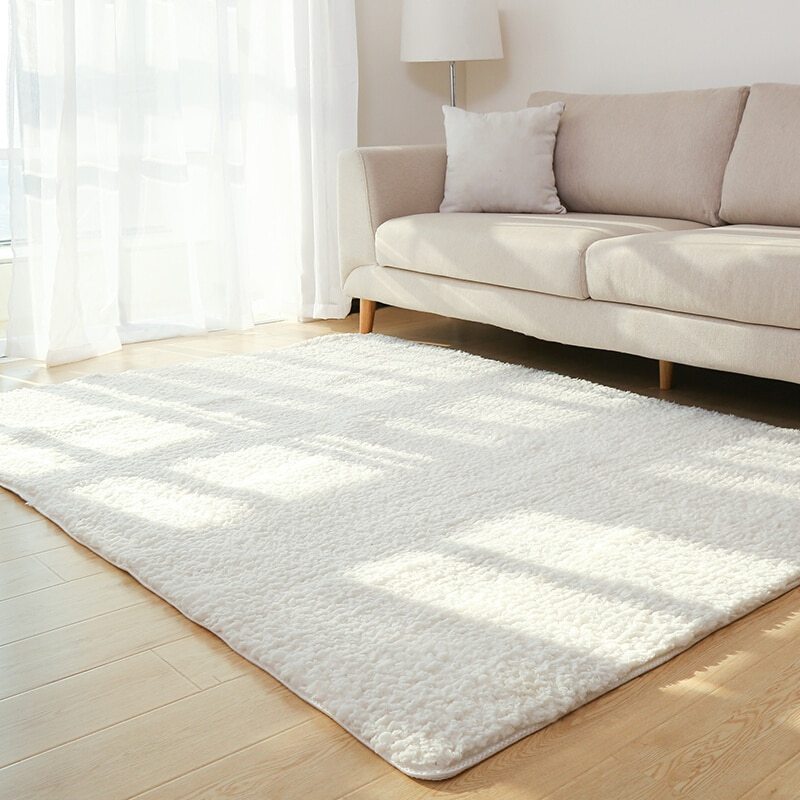 Fluffy Plush Area Rug – Soft Shag Carpet for Living Room, Bedroom & Home Decor