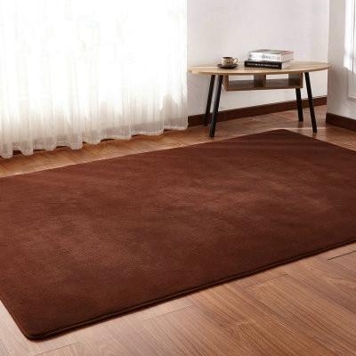 Fluffy Plush Area Rug – Soft Shag Carpet for Living Room, Bedroom & Home Decor